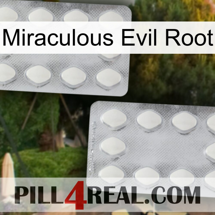 Miraculous Evil Root 17